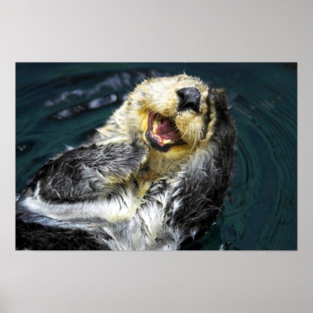 Sea Otter Poster (Vorne)