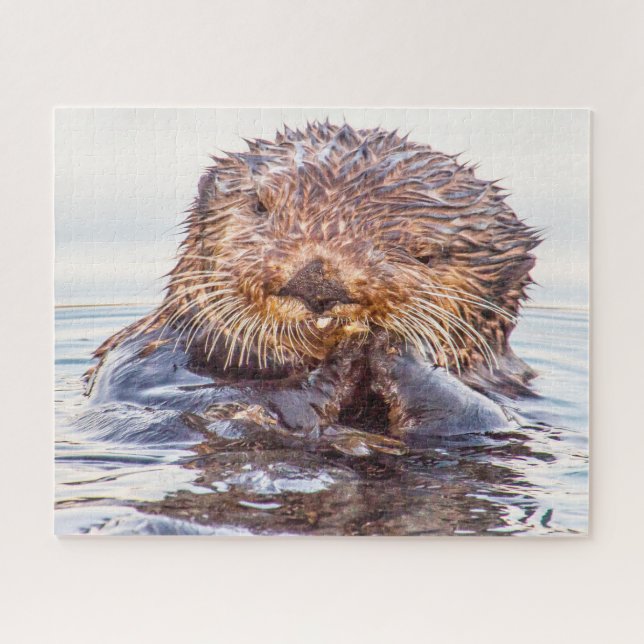 Sea Otter Puzzle (Horizontal)