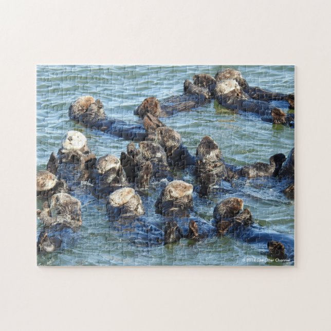 Sea Otter Raft Puzzle (Horizontal)