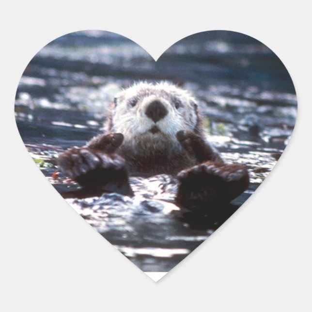 Sea Otter Schwimmen Herz-Aufkleber (Vorderseite)