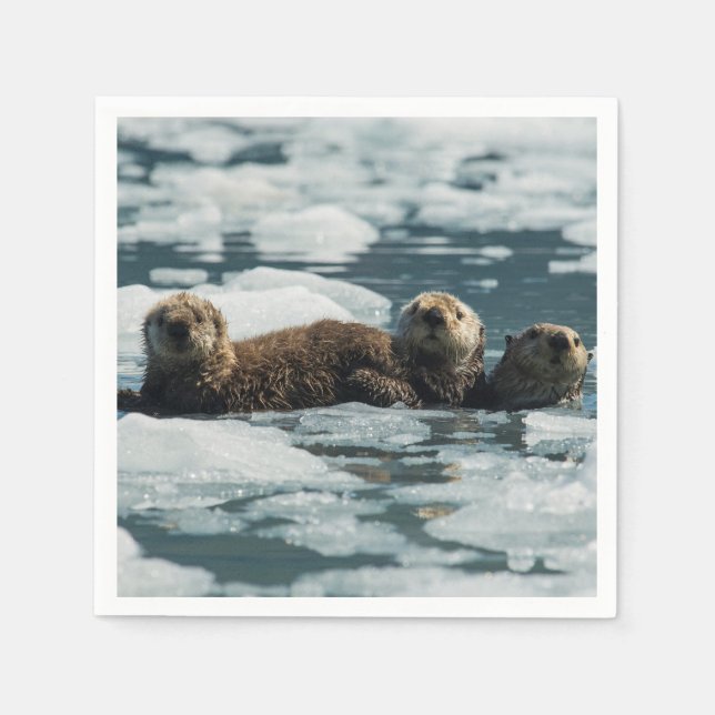 Sea Otter Serviette (Vorderseite)