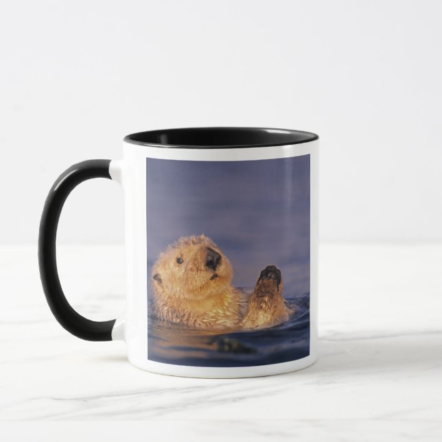 Sea Otters, Enhydra lutris 2 Tasse (Links)
