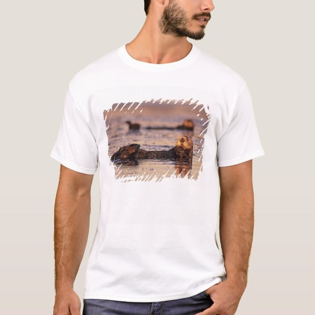 Sea Otters, Enhydra lutris 3 T-Shirt (Vorderseite)