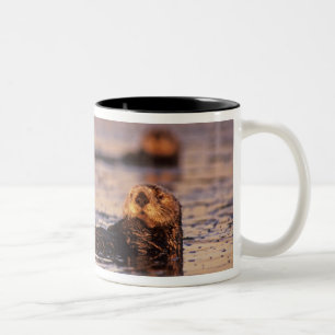 Sea Otters, Enhydra lutris 3 Zweifarbige Tasse