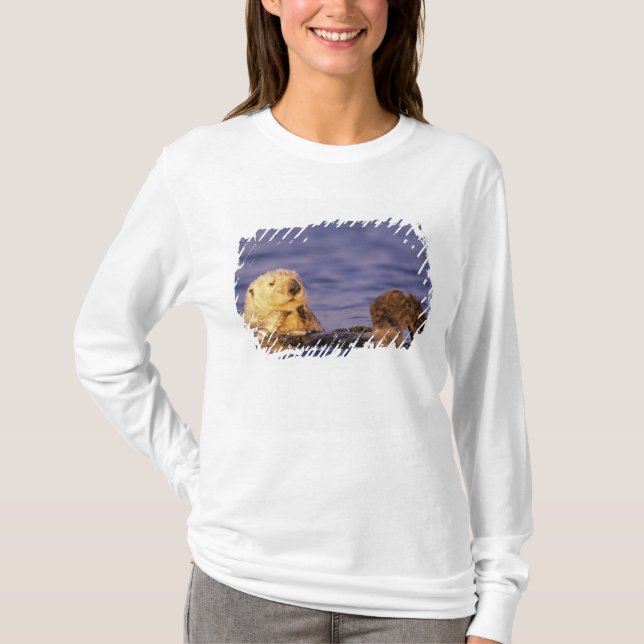 Sea Otters, Enhydra lutris 4 T-Shirt (Vorderseite)