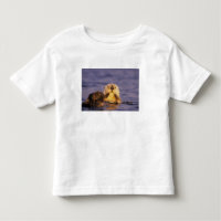 Sea Otters, Enhydra lutris 5
