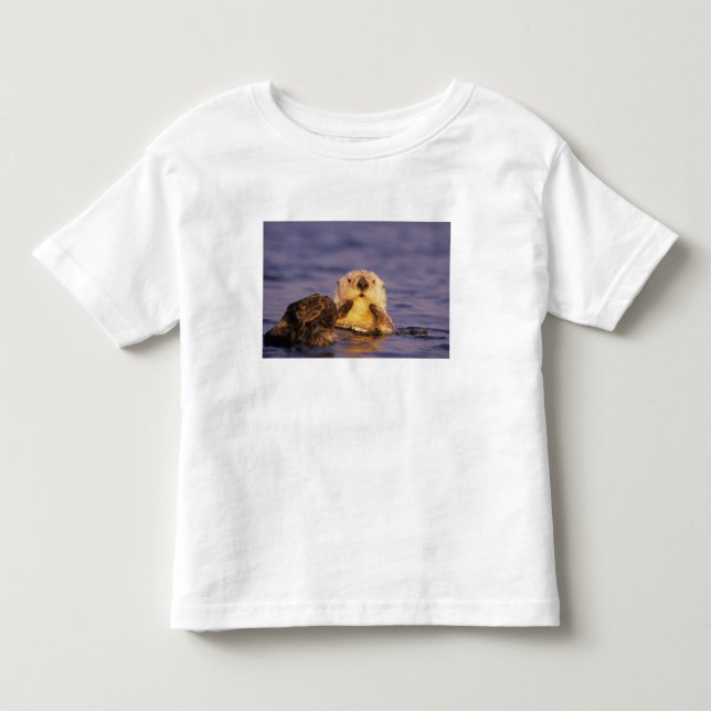 Sea Otters, Enhydra lutris 5 Kleinkind T-shirt (Vorderseite)