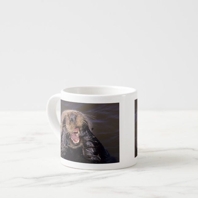 Sea Otters, Enhydra lutris 6 Espressotasse (Vorderseite Links)