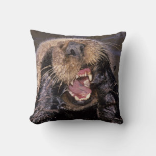 Sea Otters, Enhydra lutris 6 Kissen