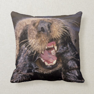 Sea Otters, Enhydra lutris 6 Kissen