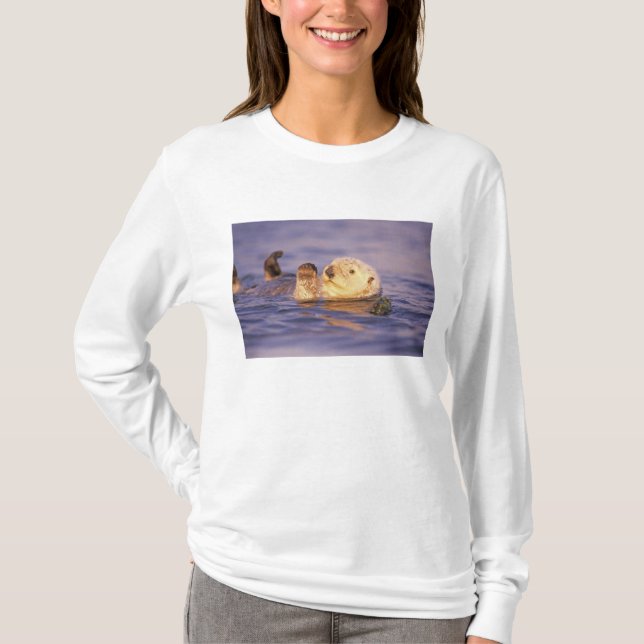 Sea Otters, Enhydra lutris T-Shirt (Vorderseite)