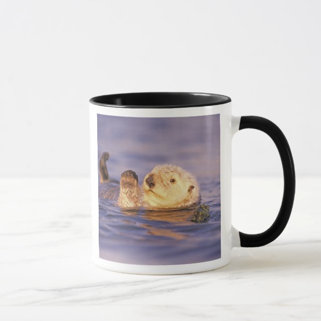 Sea Otters, Enhydra lutris Tasse (Rechts)