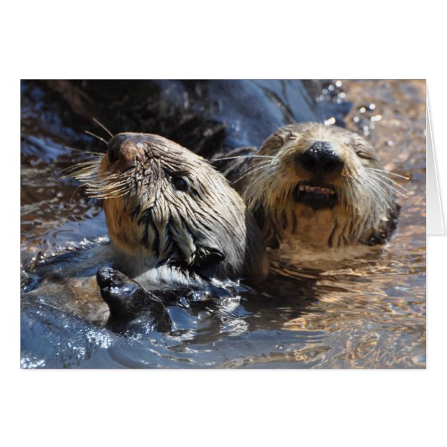 Sea Otters lächelt! (Vorderseite (Horizontal))