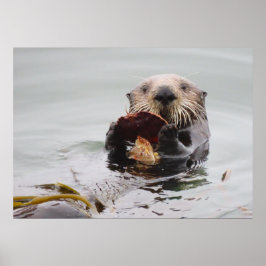 Sea Otters Liebe Crazy for Breakfast Poster