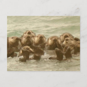Sea Otters Postkarte