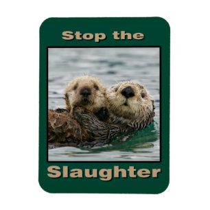 Sea Otters - Stoppt das Schlachten Magnet