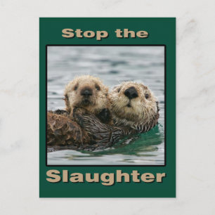 Sea Otters - Stoppt das Schlachten Postkarte