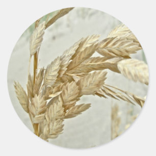 Sea Outs Äußere Banken NC Serie Runder Aufkleber