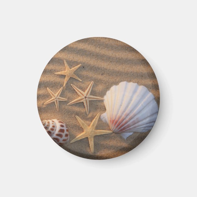 Sea Shells And Starfish Magnet (Vorne)