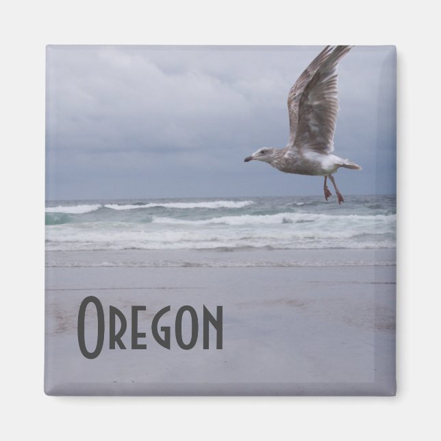 Sea Sinti und Roma Magnet (Vorne)