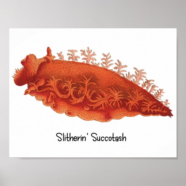Sea Slug Poster Slitherin' Succotash (Vorne)