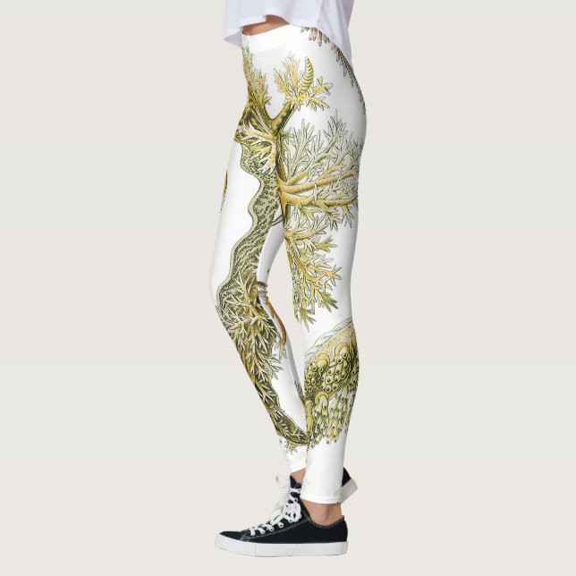 Sea Slugchia von Ernst Haeckel, Vintage Nudibranch Leggings (Links)