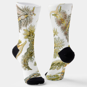 Sea Slugchia von Ernst Haeckel, Vintage Nudibranch Socken