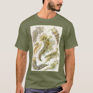 Sea Slugchia von Ernst Haeckel, Vintage Nudibranch T-Shirt