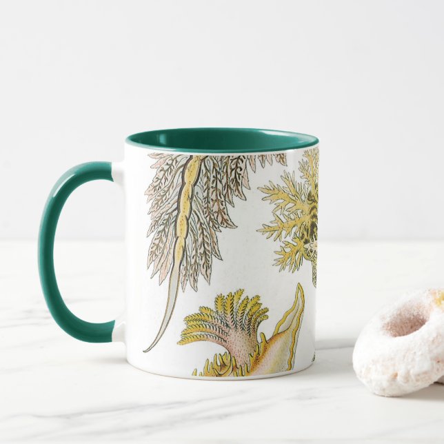 Sea Slugchia von Ernst Haeckel, Vintage Nudibranch Tasse (Mit Donut)