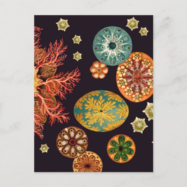 Sea Squirt Remix Postcard Postkarte (Vorderseite)