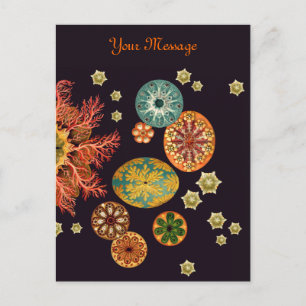 Sea Squirt Remix Postcard Postkarte