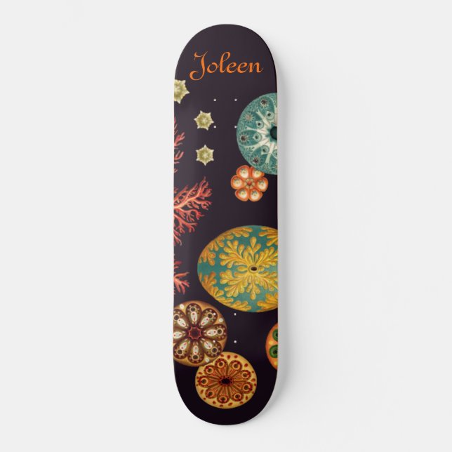 Sea Squirt Remix Skateboard (Vorderseite)