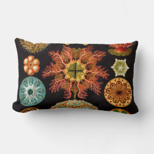 Sea Squirt Square Lumbar Kissen