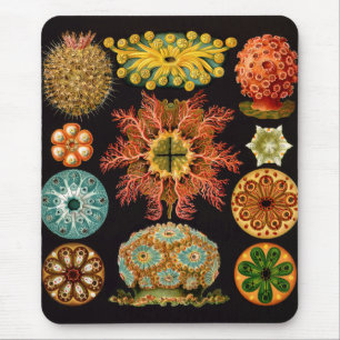 Sea Squirt Square Mousepad