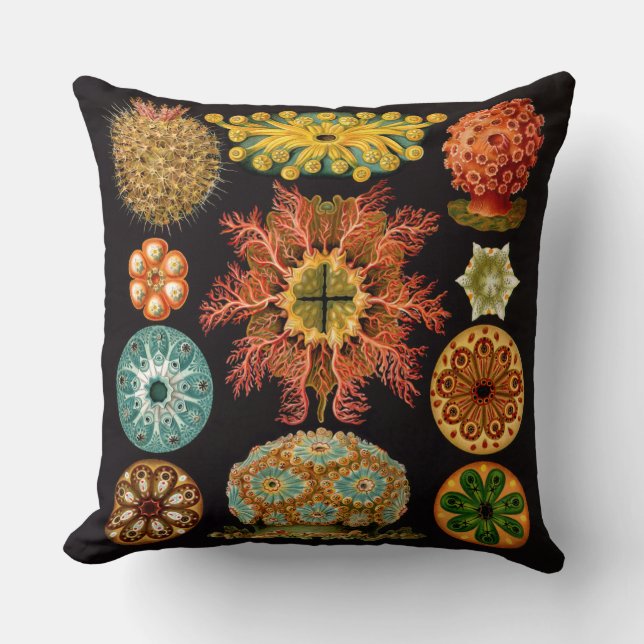 Sea Squirt Square Throw Kissen (Vorderseite)