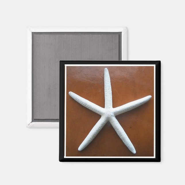Sea Star Magnet (Vorderseite/Rückseite)