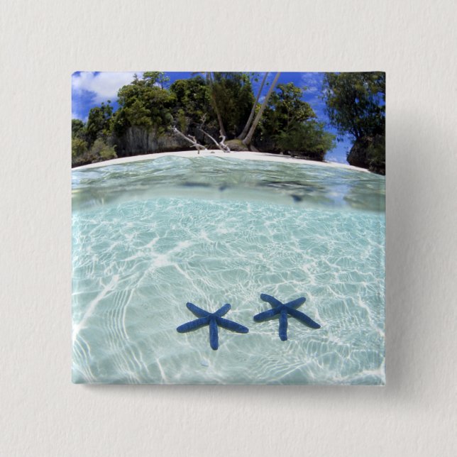 Sea stars, Rock Islands, Palau 2 Button (Vorderseite)