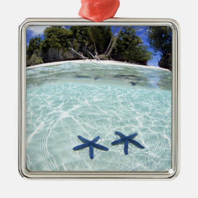 Sea stars, Rock Islands, Palau 2 Silbernes Ornament (Vorne)