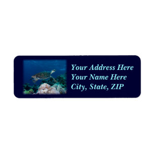 Sea Turtle Address Label