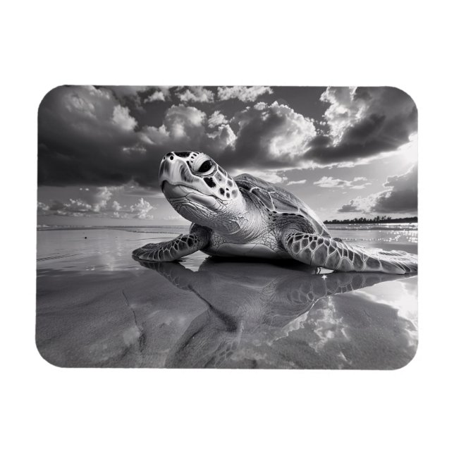 Sea Turtle Black and White Art flexibel Magnet (Horizontal)