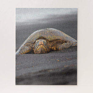 Sea Turtle Black Sand Beach Hawaii - 16x20- 520 pc Puzzle