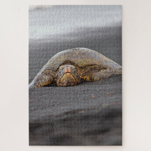Sea Turtle Black Sand Beach Hawaii -20x30- 1014 pc Puzzle