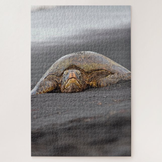Sea Turtle Black Sand Beach Hawaii -20x30- 1014 pc Puzzle (Vertikal)