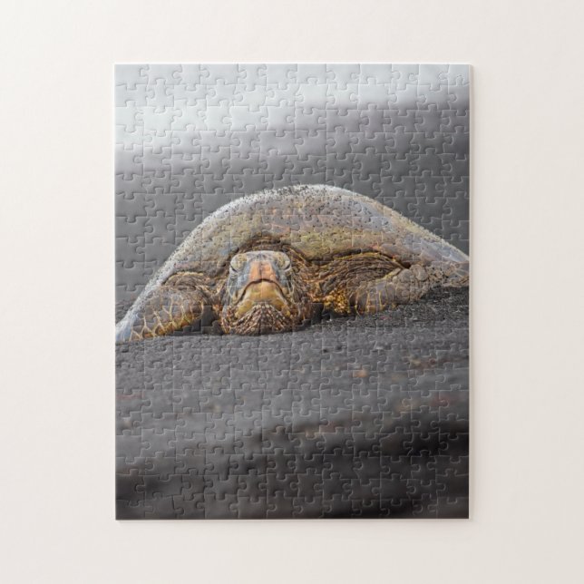 Sea Turtle - Black Sand Beach - Hawaii Puzzle (Vertikal)