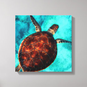 Sea Turtle Canvas Print Leinwanddruck