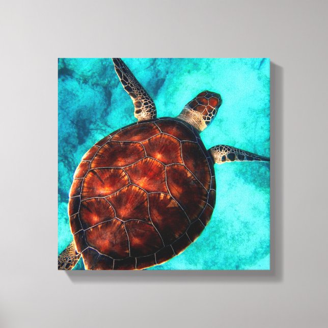 Sea Turtle Canvas Print Leinwanddruck (Vorderseite)