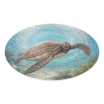 Sea Turtle in Ocean Vortex