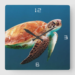 Sea Turtle Large Square Wall Uhr