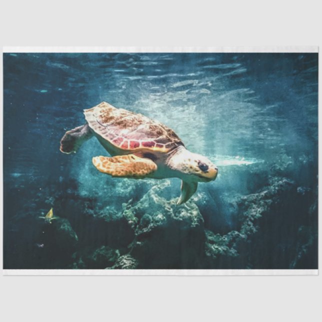 Sea Turtle Loggerhead Decoupage Tissue Paper Seidenpapier (Vorderseite)