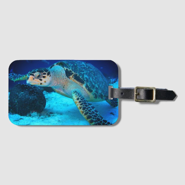 Sea Turtle Luggage Gepäckanhänger (Vorderseite (Horizontal))